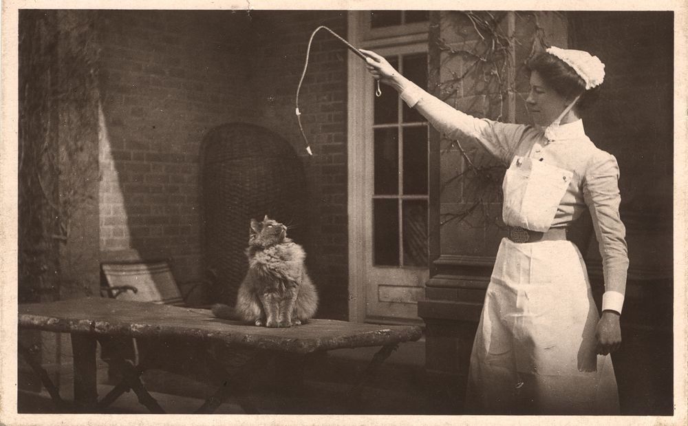 Nurse and a cat, Images from the History of Medicine (IHM)  