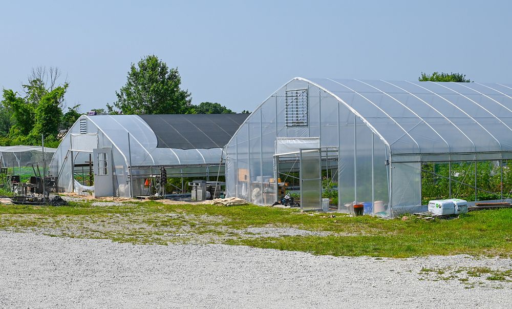 Purple Skies Farm Owner Visar Duane grows specialty produce on her farm in North Royalton, Ohio. Duane utilized the NRCS…