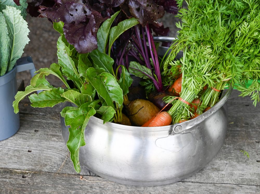 Fresh vegetables, farmers market.