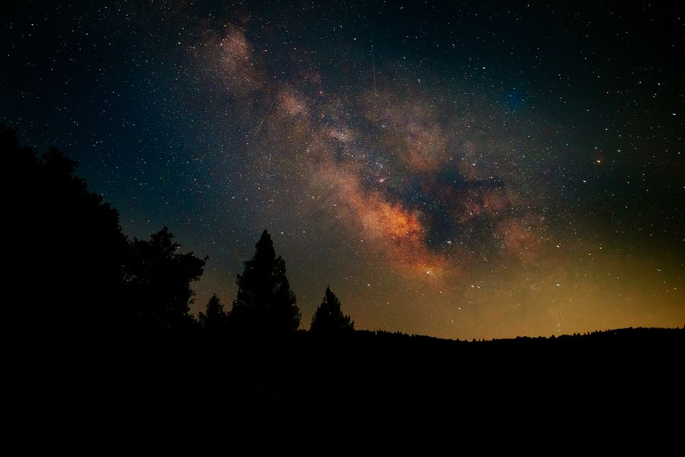 Night sky in the forest, Milky Way.
