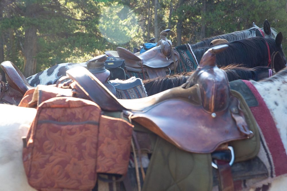 Nez Perce Appaloosa Horse Club Ride and ParadeNPS / Ashton Hooker