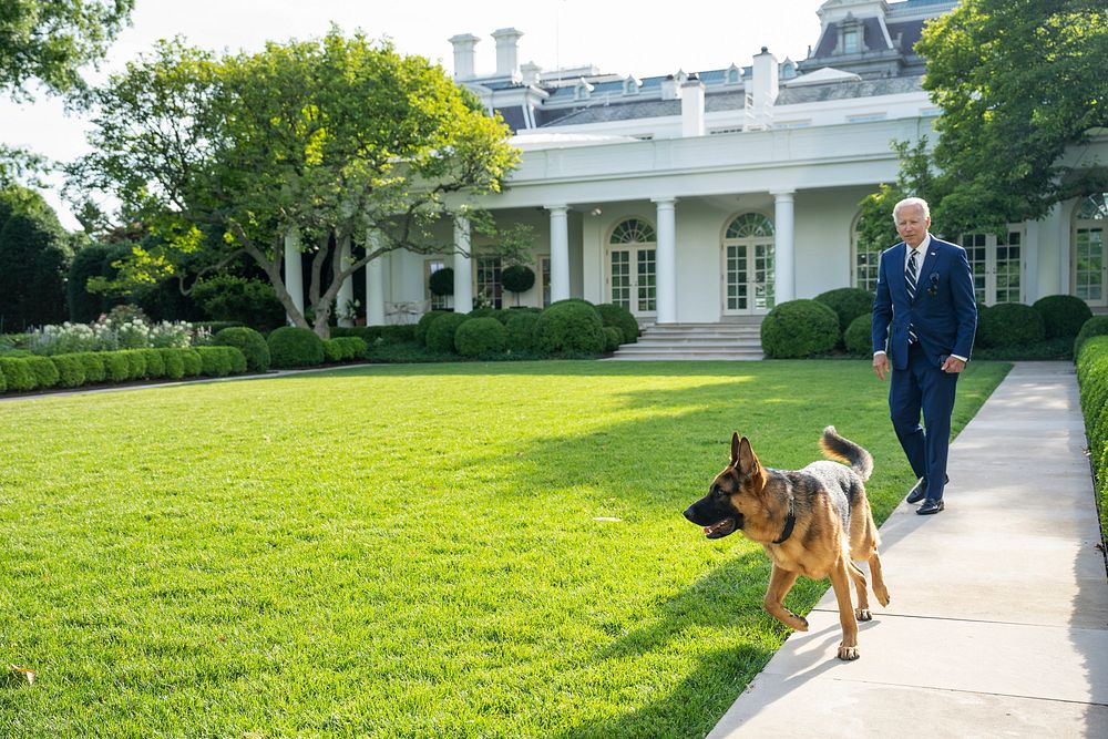 President Joe Biden walks with his dog Commander, Tuesday, June 21, 2022, in the Rose Garden of the White House. (Official…