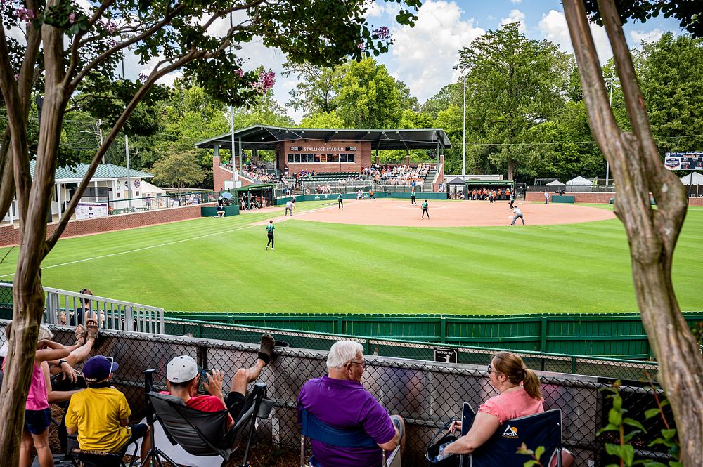 Little League Softball World Series Free Photo rawpixel