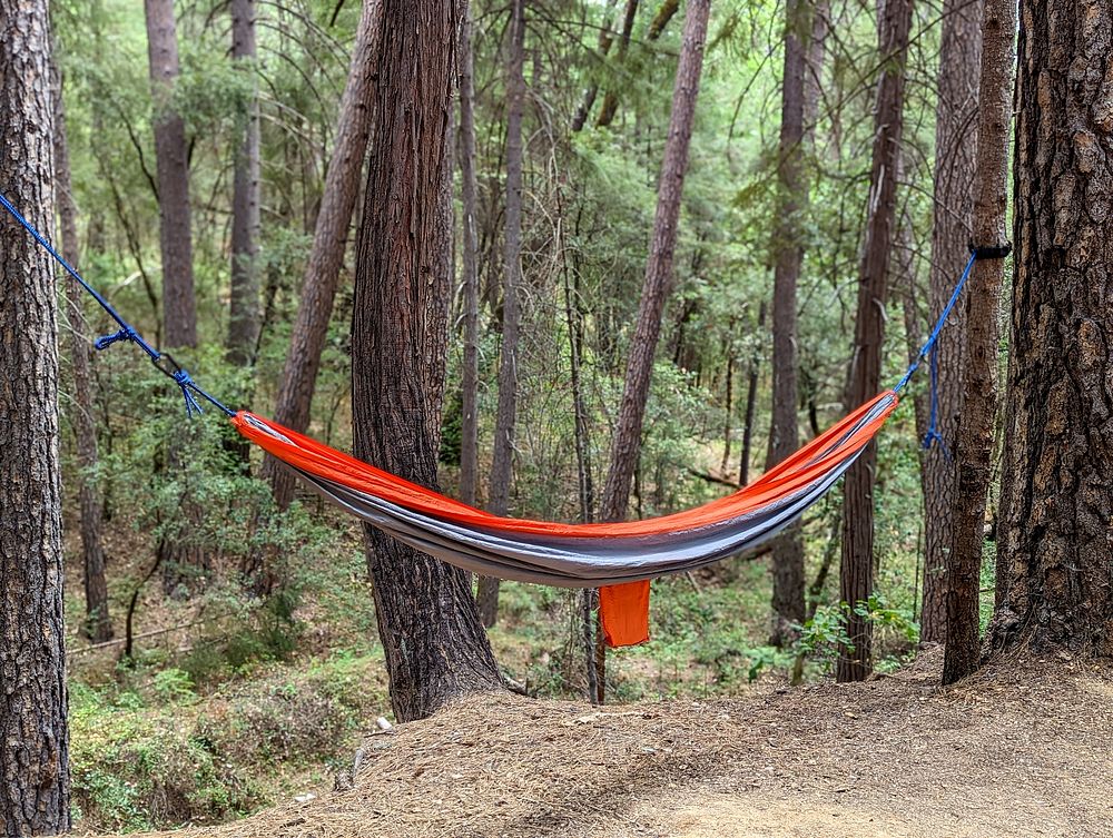 Empty Hammock in forest.