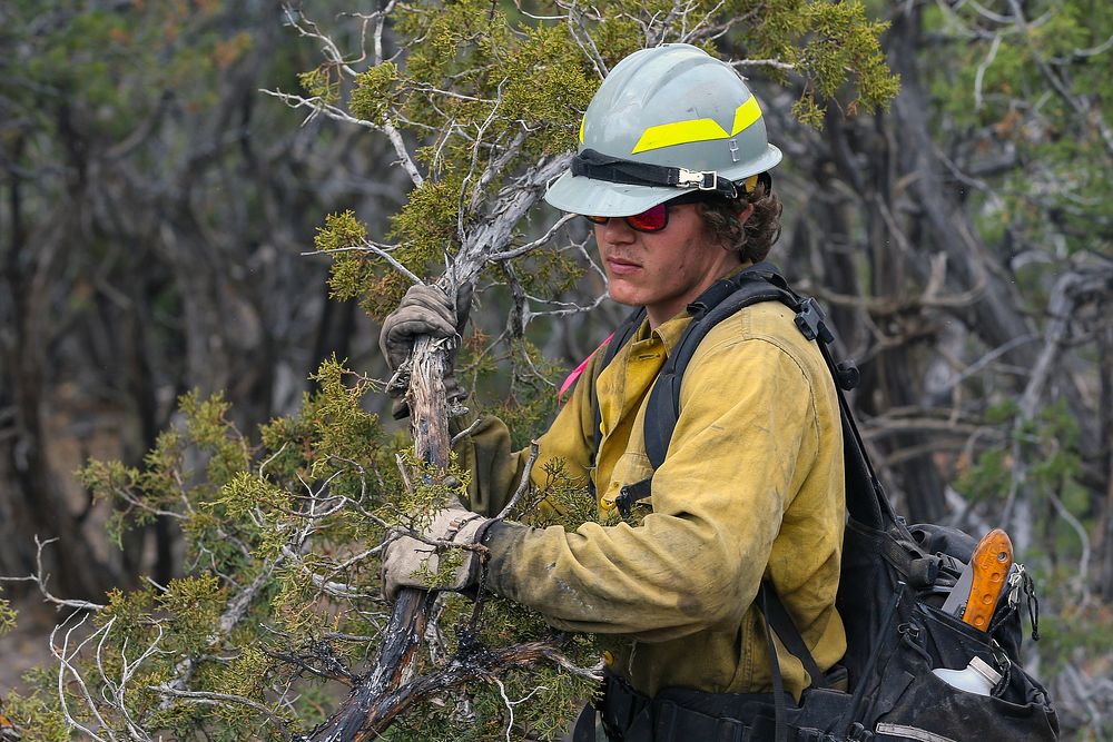 Boulder Creek FireA firefighter with Engine 8302 from the Bureau of Land Management's Green River District works to contain…