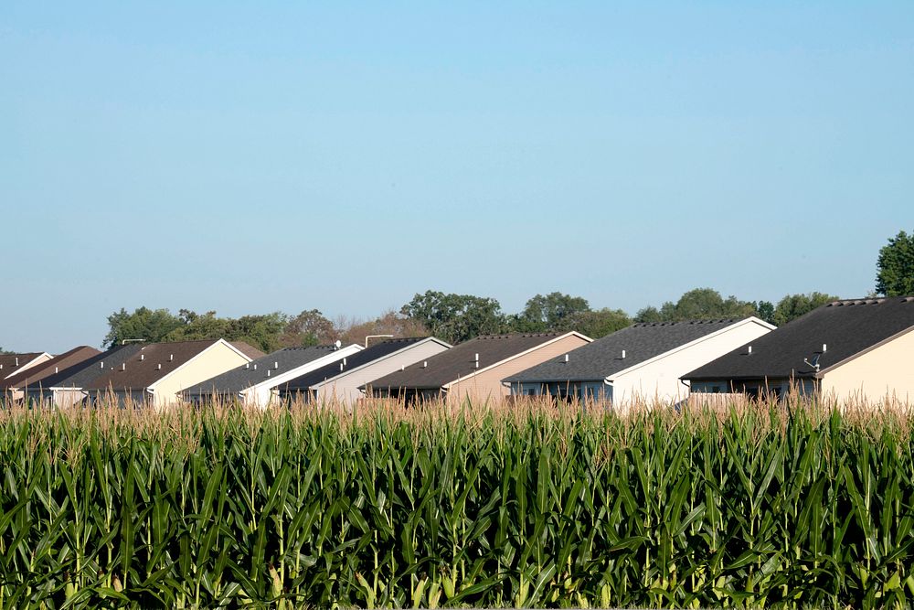 Residential and rural farms live side-by-side near Boone, IA, on August 30, 2022. USDA media by Lance Cheung.  