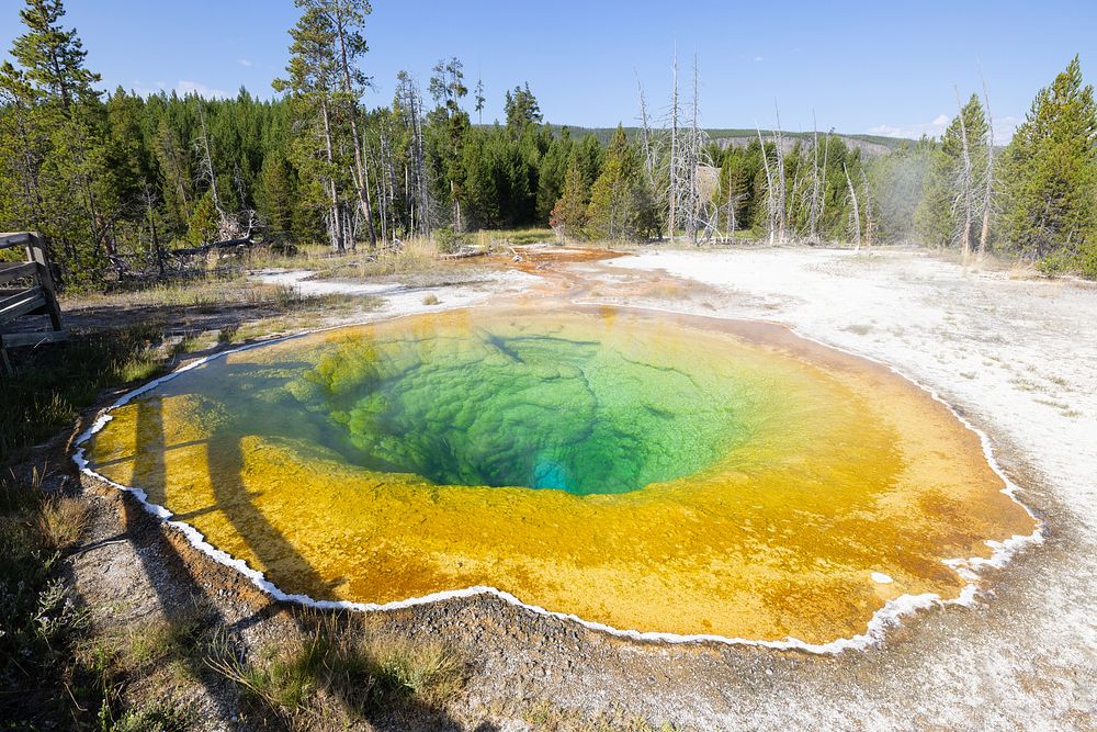 Morning light at Morning Glory Pool.