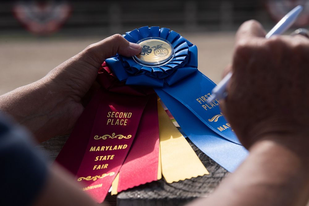 Young men and women, 8-13 years old and all in the 4-H program, compete in a Western Show at the 2022 Maryland State Fair in…