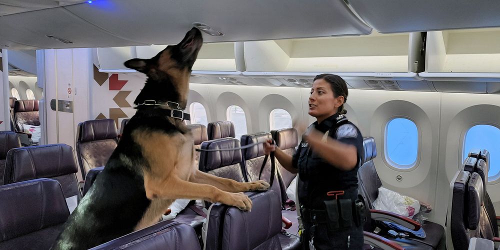 U.S. Customs and Border Protection, Office of Field Operations, Canine Officer at John F. Kennedy (JFK) Airport Queens, New…