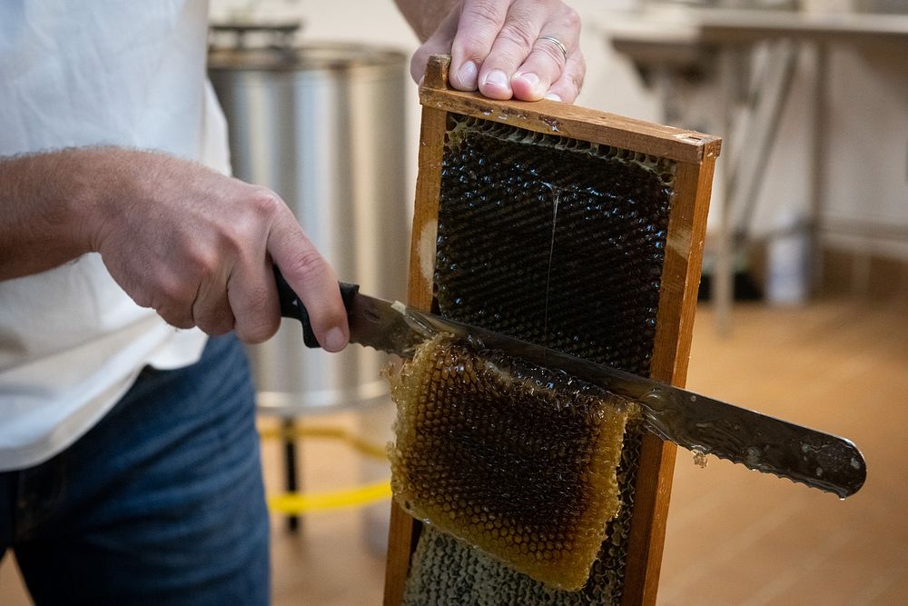 DHS Employees Extract Honey From Bees on CampusWASHINGTON (August 26, 2022) DHS employees volunteered to help the beekeepers…