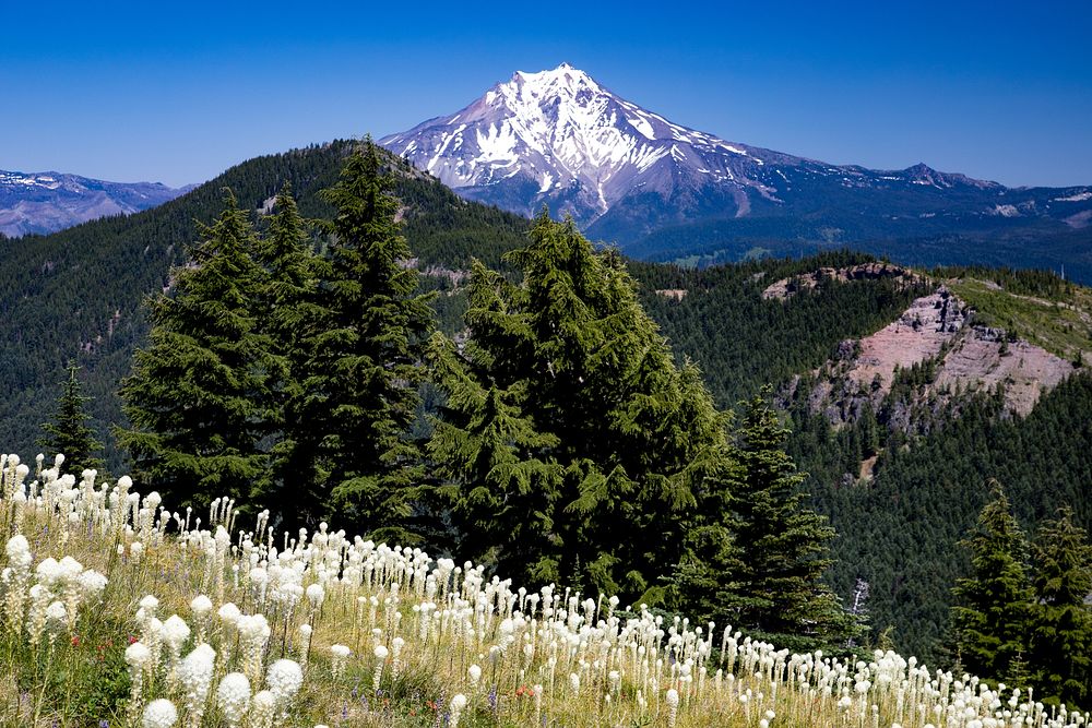 Willamette National Forest, Coffin Mountain Trail.