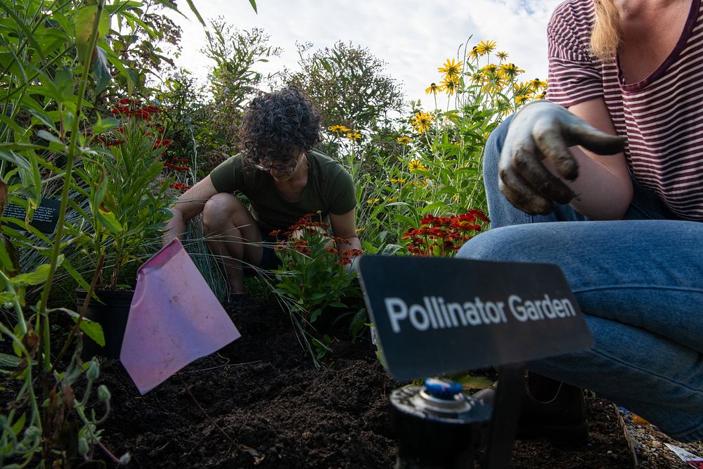 Mrs. Christie Vilsack and USDA Volunteers tend to thePeople's Garden located next to the USDA Whitten Building in Washington…