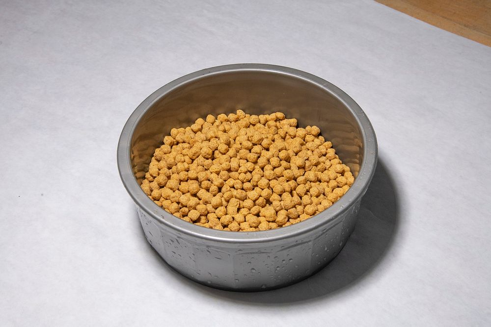 Dry food in a bowl at the San Antonio Zoo in San Antonio, TX, on July 26, 2022. For more information about the USDA Animal…