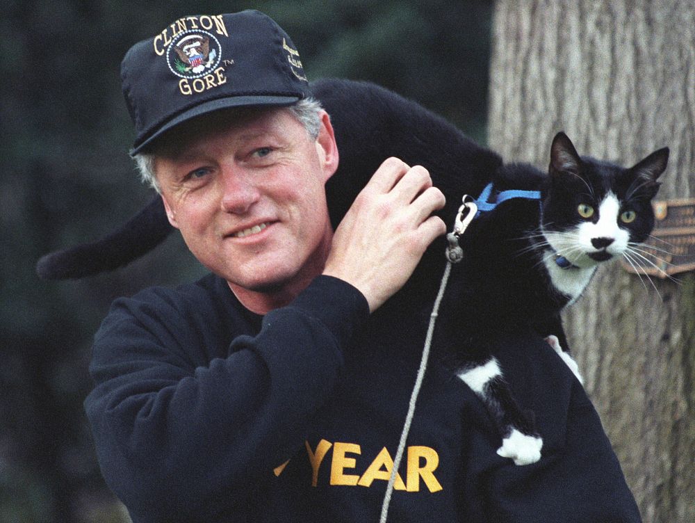 Photograph of President William Jefferson Clinton with Socks the Cat Perched on Clinton's Shoulder: 12/20/1993. Original…