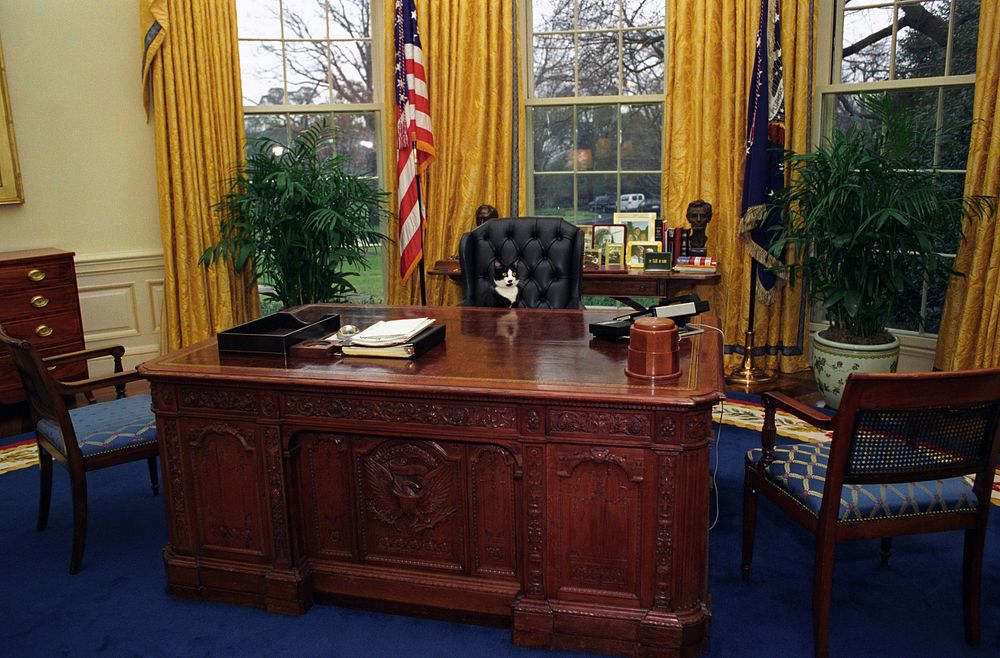 Photograph of Socks the Cat Sitting Behind the President's Desk in the Oval Office: 01/07/1994. Original public domain image…