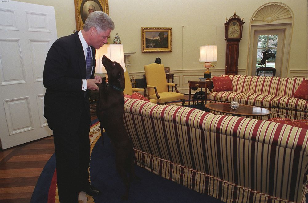 Photograph of President William Jefferson Clinton Playing with Buddy the Dog: 03/04/1998. Original public domain image from…