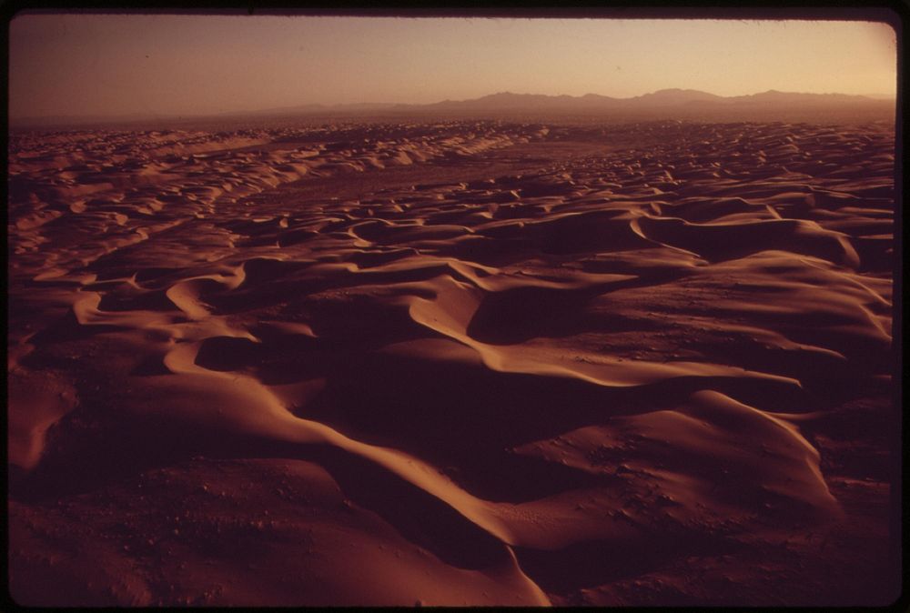 A hundred-mile ribbon of sand dunes separates the Chocolate Mountains of southern California from the Imperial Valley, which…