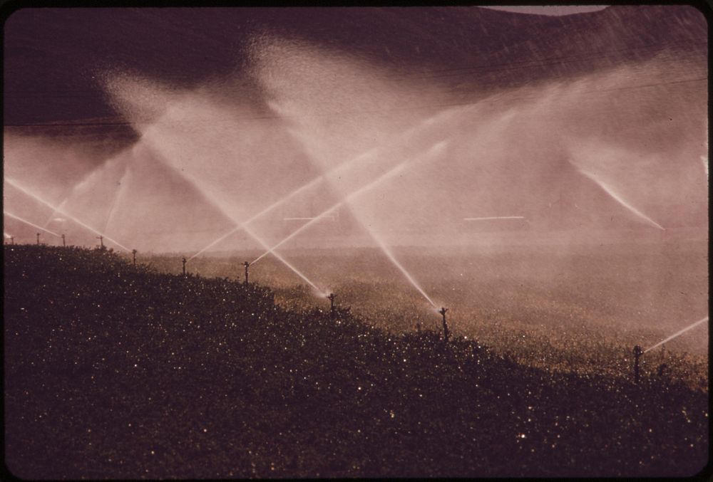 Irrigation on experimental farm operated by EPA's Las Vegas National Research Center, May 1972. Photographer: O'Rear…