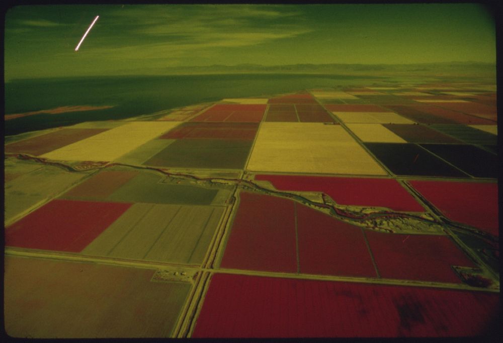 Checkerboard fields of California's Imperial Valley are fed by Colorado River, May 1972. Photographer: O'Rear, Charles.…