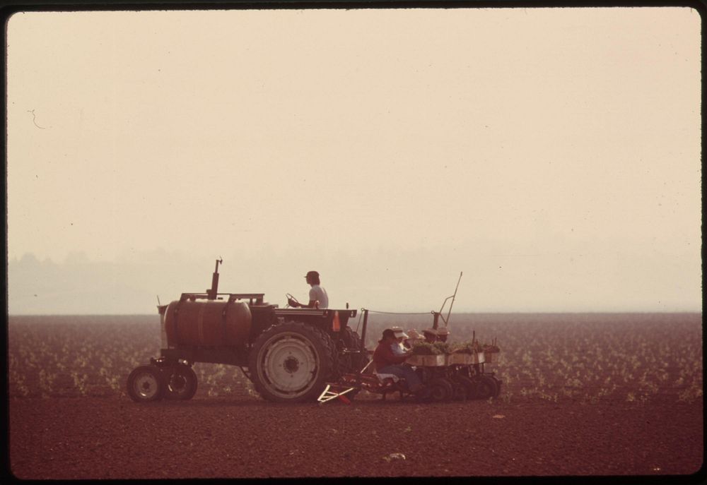 Planting a crop on Oxnard Plain, a prime agricultural area now being developed for housing near Oxnard, California, north of…