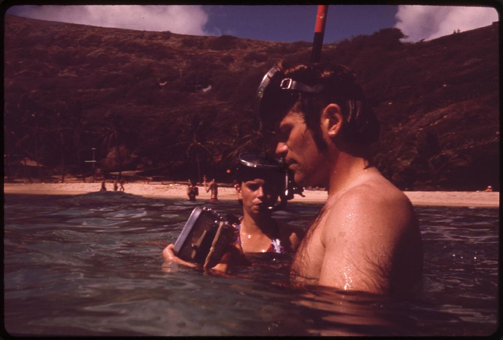 Koko Head Park in the Hanauma Bay marine life conservation district is a popular snorkeling and skin diving spot. All marine…