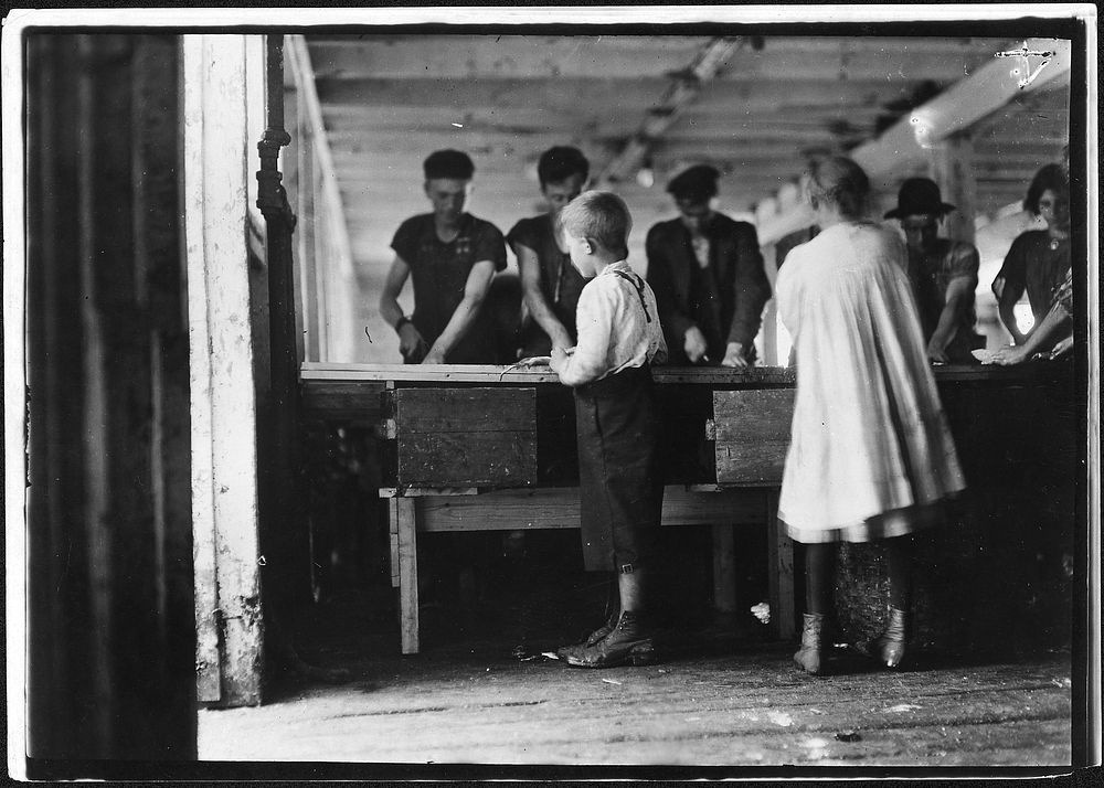 Interior of cutting shed. Young cutters at work, Clarence Goodell 8 years old, and Minnie Thomas, 9 years old. Eastport, Me…