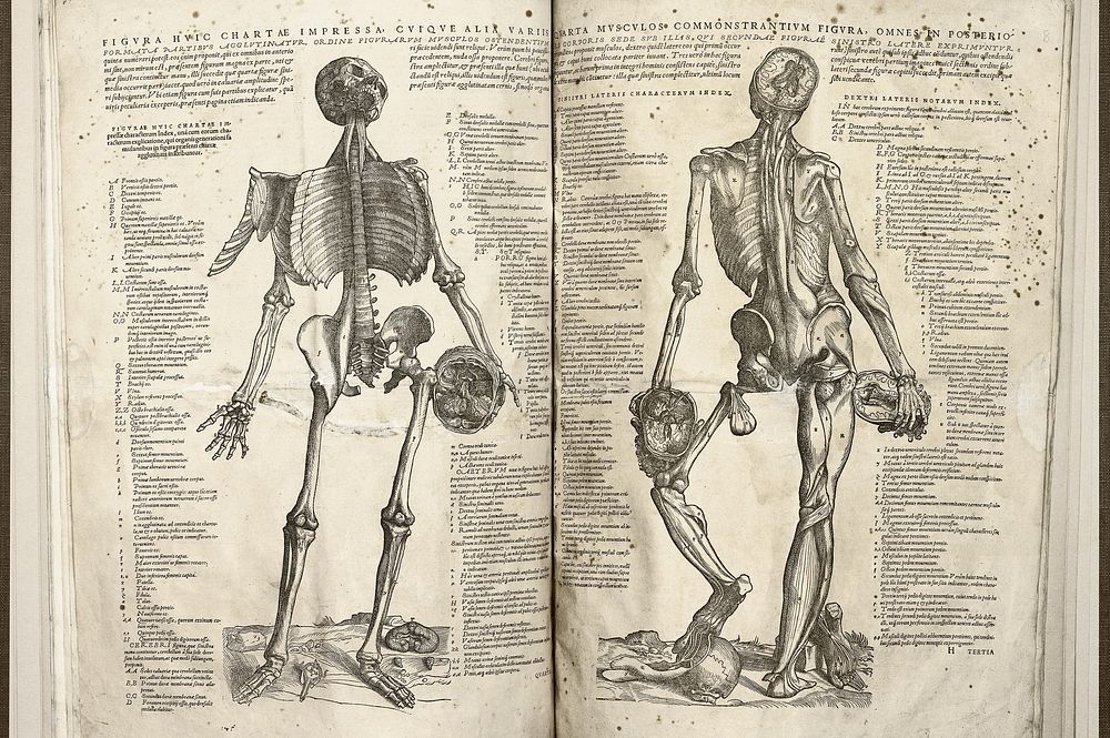 Figvra hvic chartae impressa cviqve alia variis Image of two facing pages, showing the fourth and fifth "figure of the…