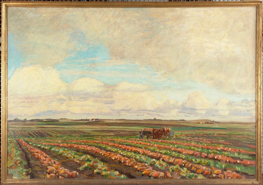 Harvest of turnips, 1925 - 1927, Fritz Syberg