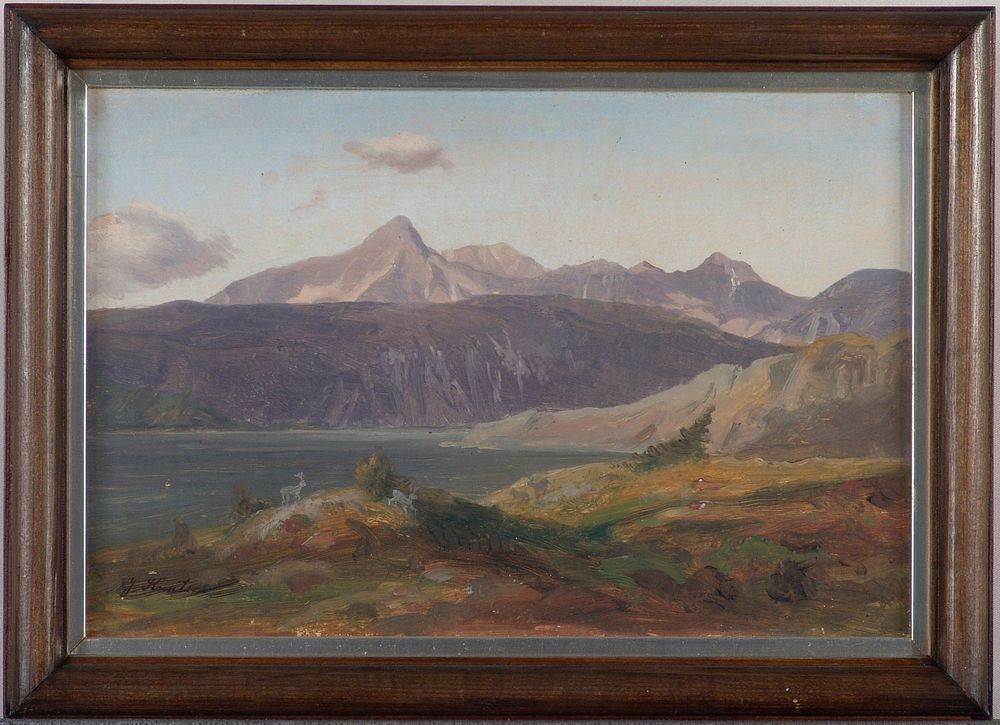 Alpine landscape from bavaria, 1873, Johan Knutson