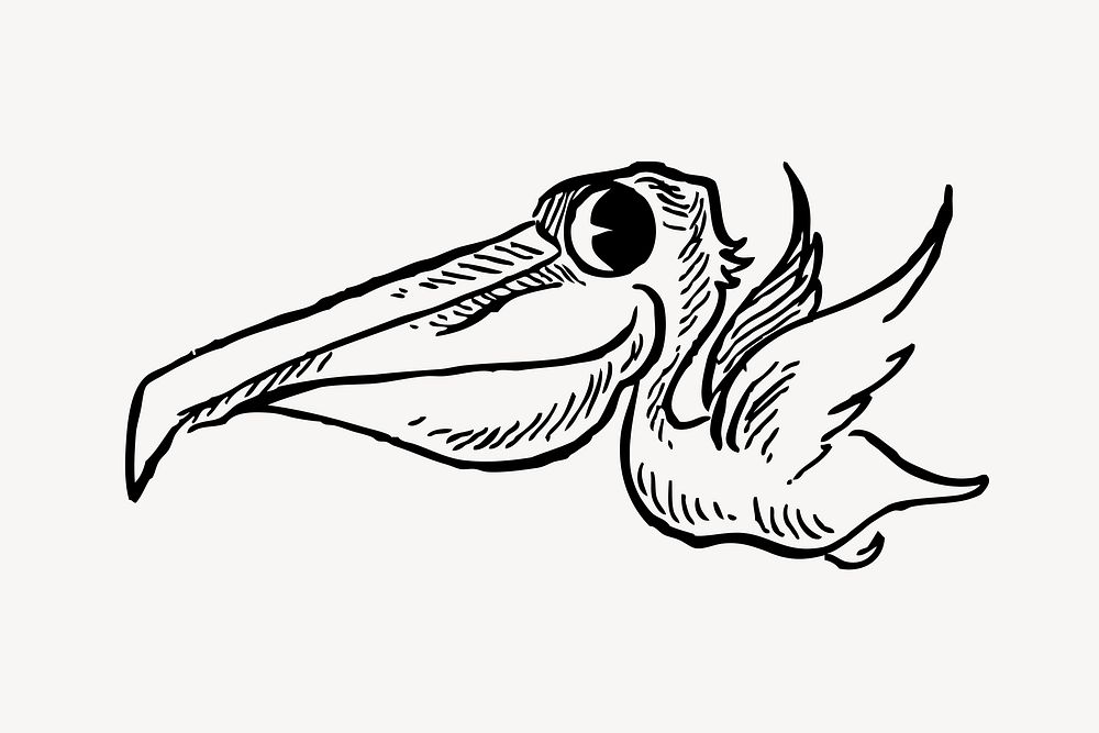Pelican clipart, illustration vector. Free public domain CC0 image.