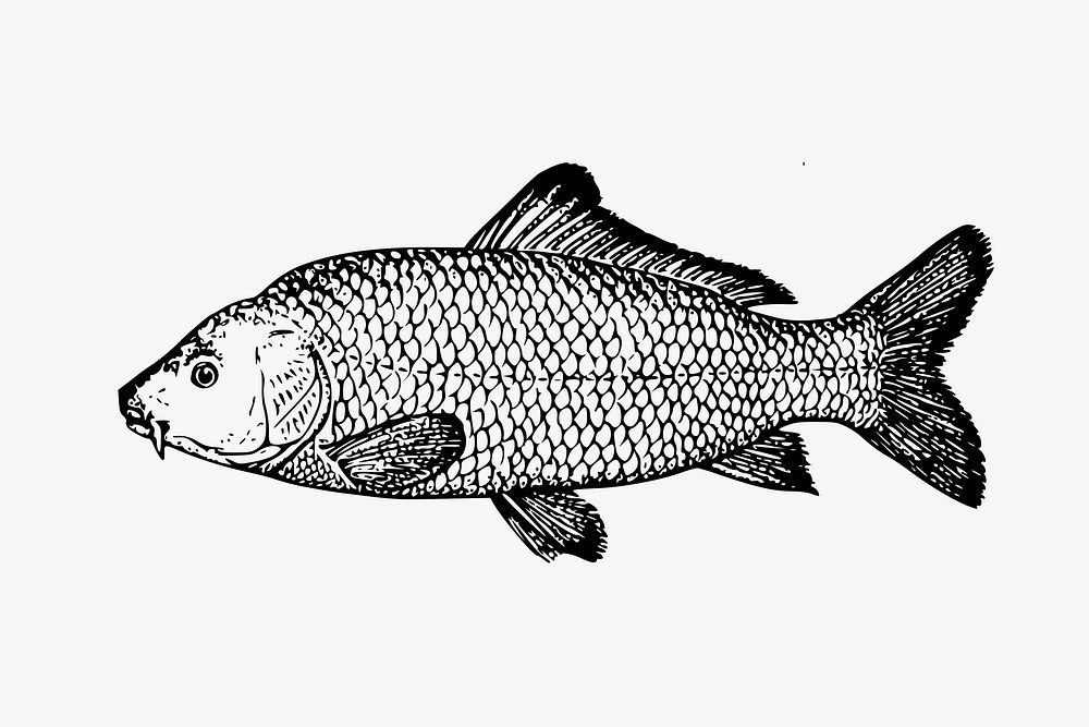 Fish clipart, illustration vector. Free public domain CC0 image.