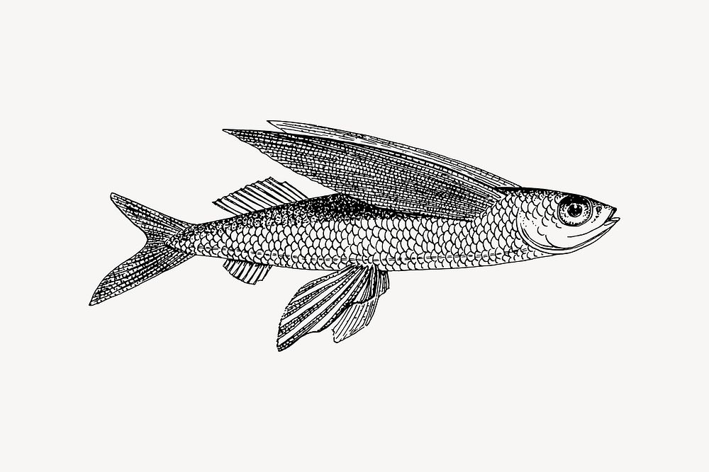 Vintage fish clipart, illustration vector. Free public domain CC0 image.