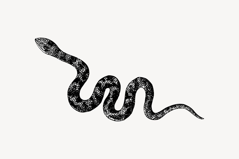 Snake clipart vector. Free public domain CC0 image.
