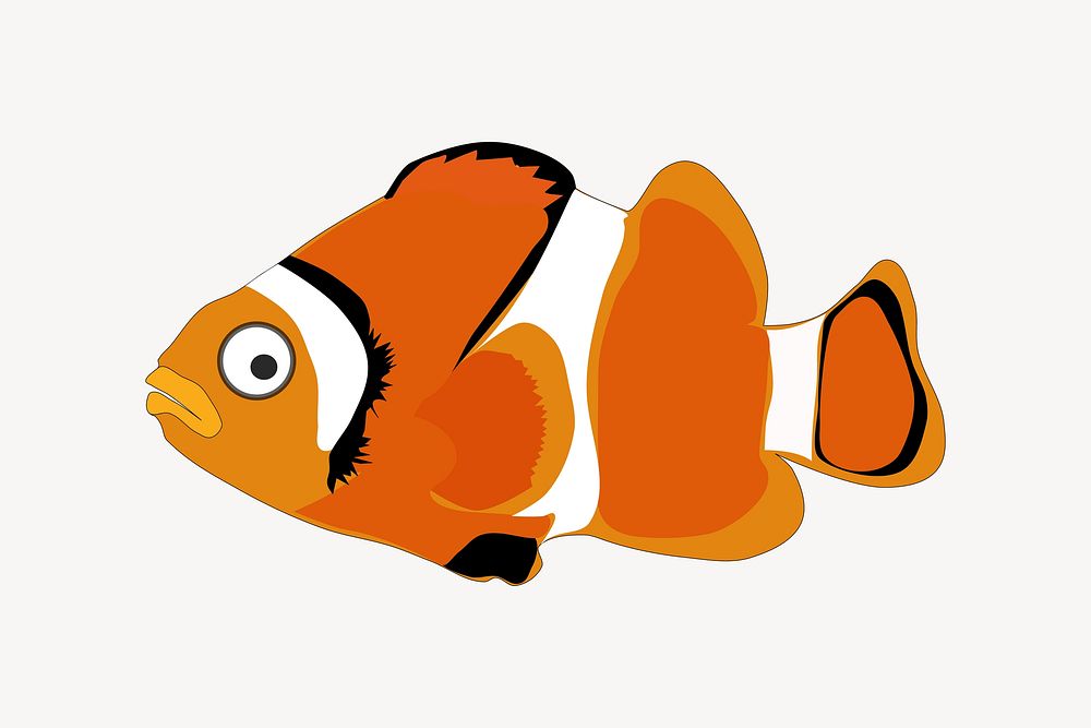Clownfish clipart, illustration vector. Free public domain CC0 image.