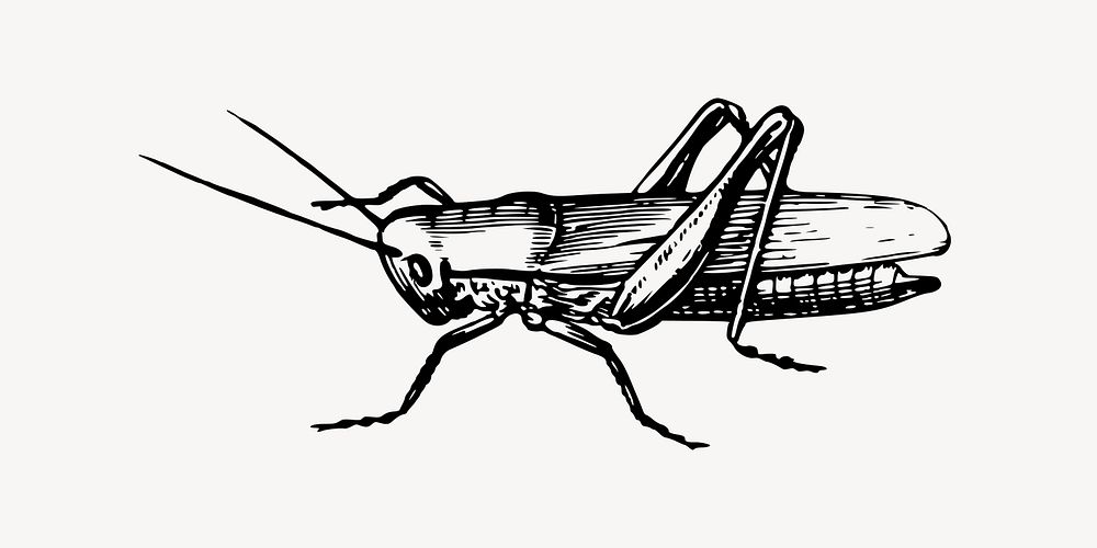cricket insect clipart black and white
