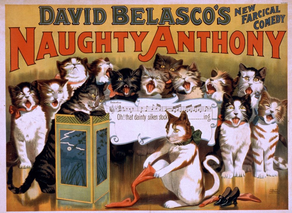 David Belasco's new farcical comedy, Naughty Anthony