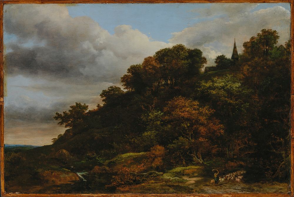 A wooded hill, 1648 - 1682, Jacob Van Ruisdael