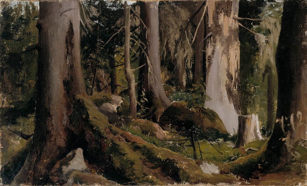 Forest, study, 1872, Fanny Churberg