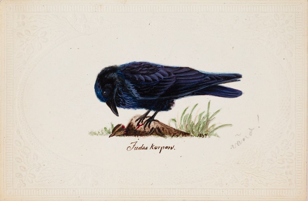 Tame raven "judas", 1834, by Ferdinand von Wright