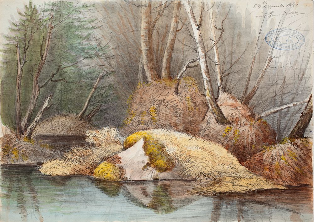 Keväinen metsänsisus ja vedensaartamat mättäät, 1851, Magnus Von Wright