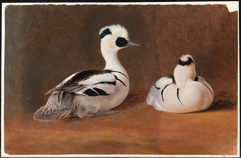 Smews, 1867, by Ferdinand von Wright