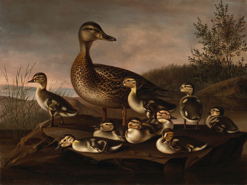 Mallard ducklings, 1841, Magnus Von Wright