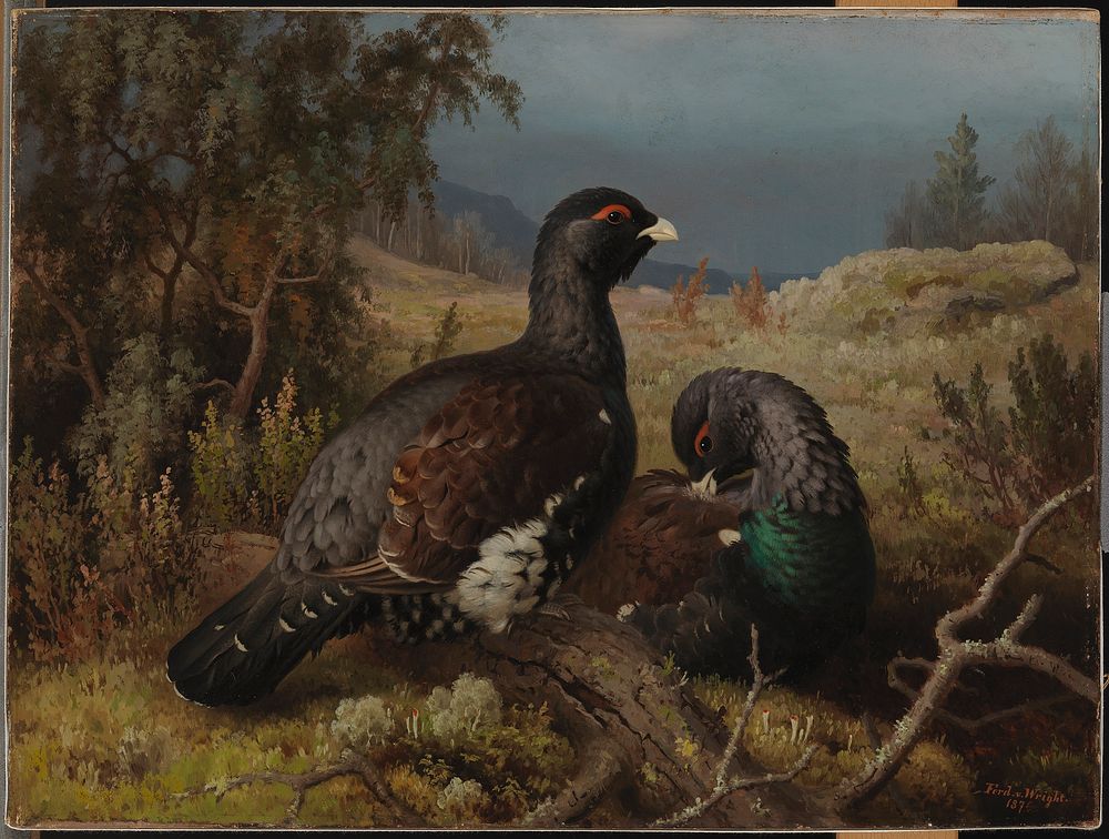 Capercaillie cocks, 1876, by Ferdinand von Wright