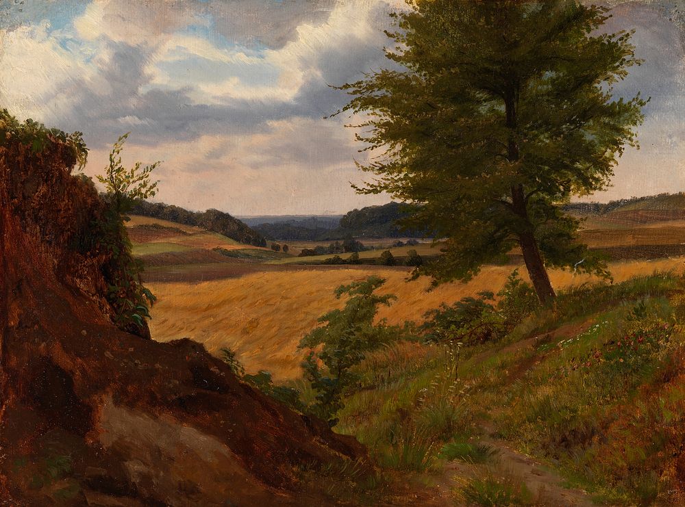 Tree in field landscape, study, 1854, Werner Holmberg