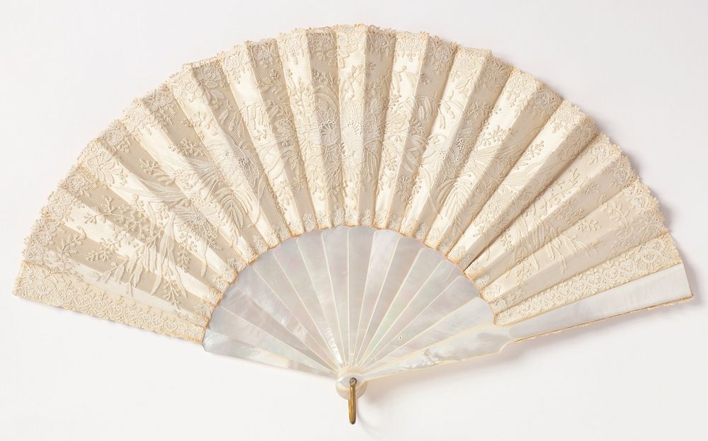 Pleated fan and case