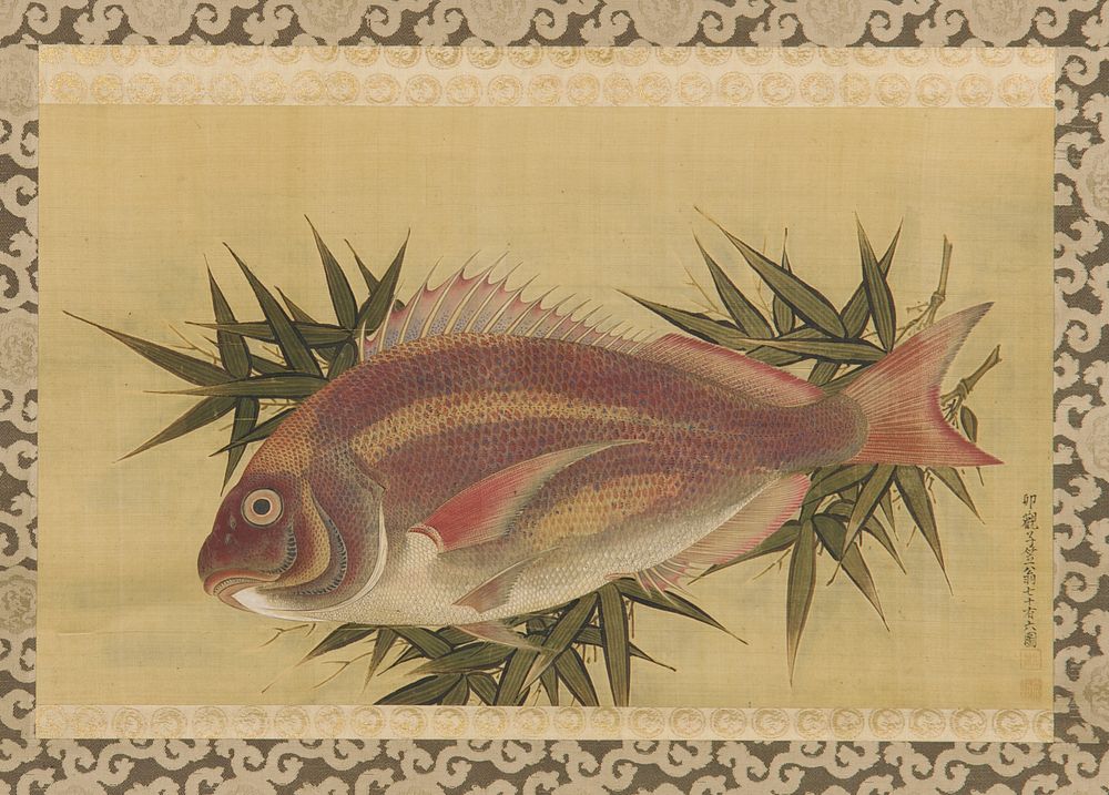 Red Sea Bream (Tai) on Bamboo Leaves, Ogawa Ritsuo