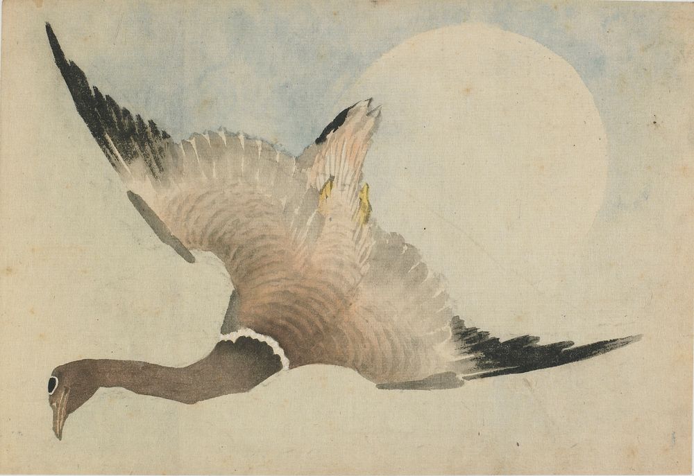 Goose flying in front of the moon by Katsushika Hokusai