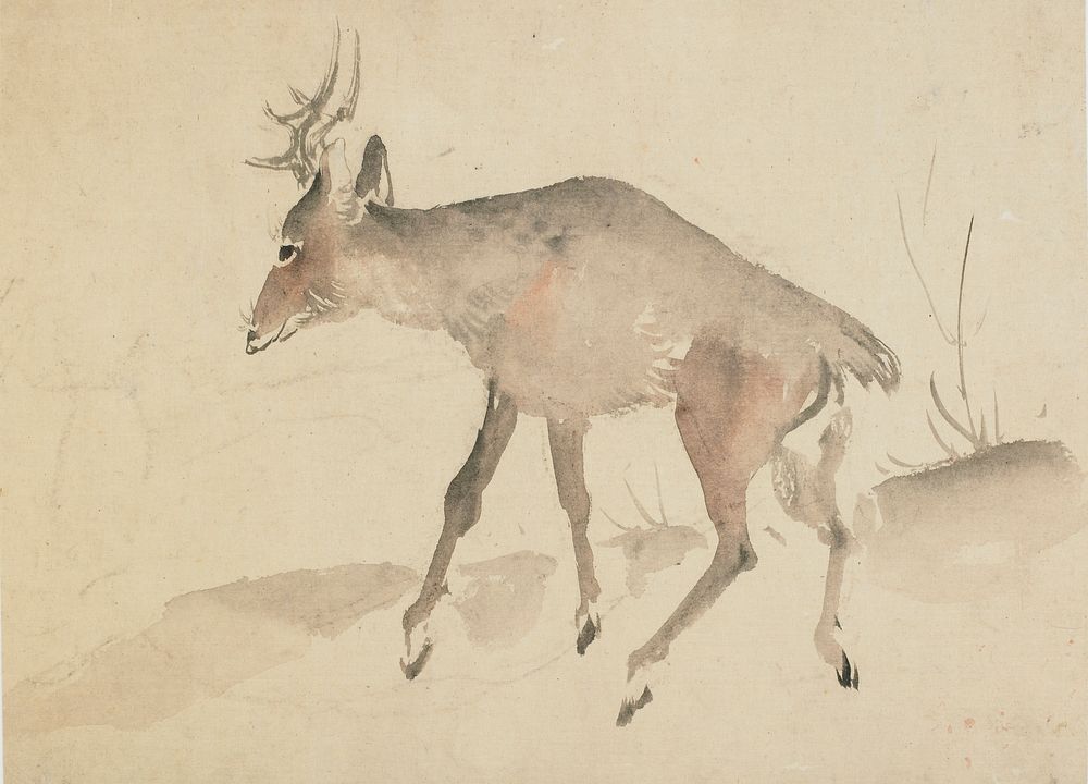 Deer by Katsushika Hokusai