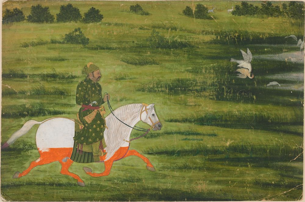 A mounted man hunting birds with a falcon