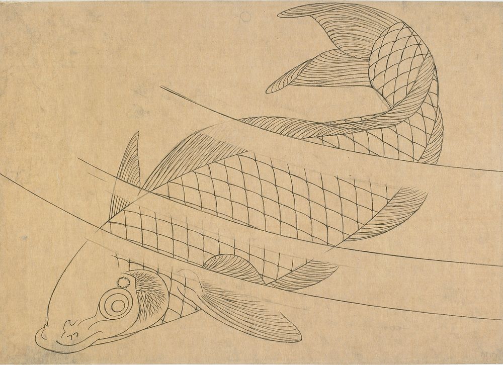 Swimming carp by Katsushika Hokusai